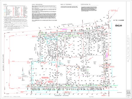 ALTA Survey